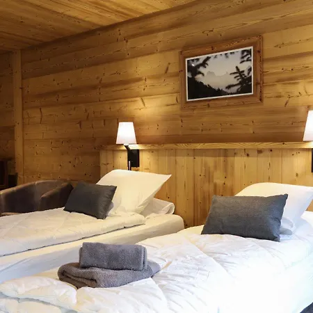 Apartamento Grand 7 Pieces, 15 Pers, Sauna, Jacuzzi A - Fr-1-676-38 Châtel