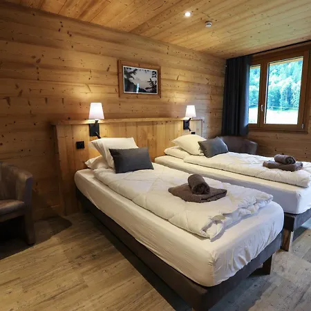 Appartement Grand 7 Pièces, 15 Pers, Sauna, Jacuzzi à - Fr-1-676-38
